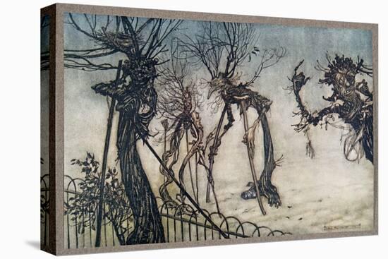 Stretched Canvas Print, , large