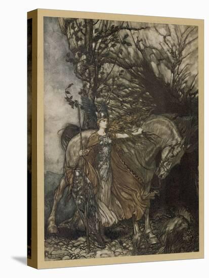 Stretched Canvas Print, , large