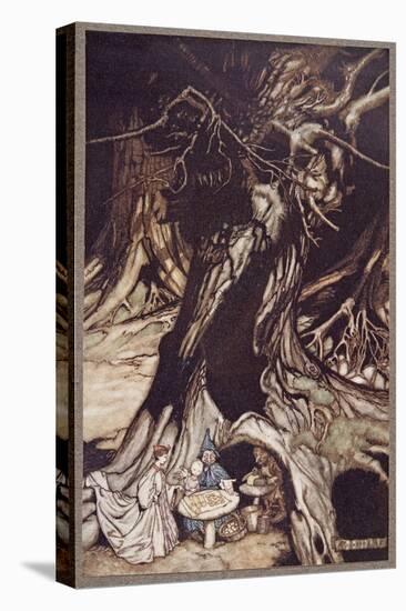 Stretched Canvas Print, , large
