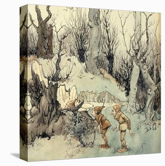 Stretched Canvas Print, , large