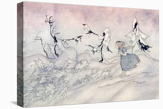 Stretched Canvas Print, , large