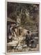 Photographic Print