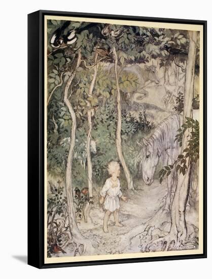 Stretched Canvas Print, , large