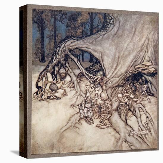 Stretched Canvas Print, , large
