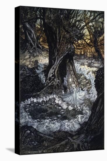 Stretched Canvas Print, , large