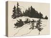 Stretched Canvas Print