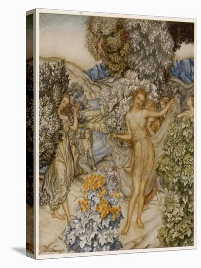 Stretched Canvas Print, , large