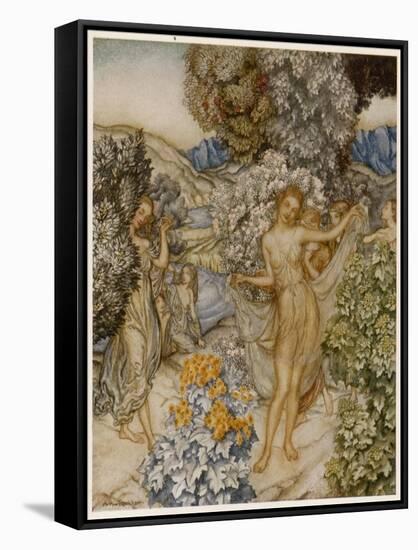 Stretched Canvas Print, , large