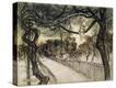 Stretched Canvas Print