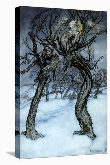 Stretched Canvas Print, , large