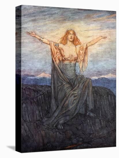 Stretched Canvas Print, , large