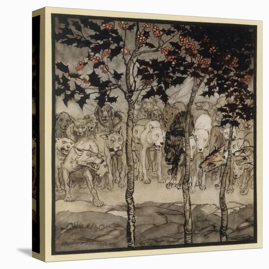 Stretched Canvas Print, , large