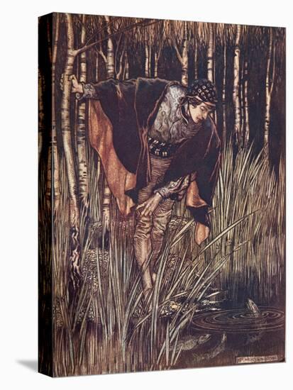 Stretched Canvas Print, , large