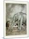 Giclee Print