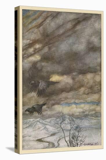 Stretched Canvas Print, , large