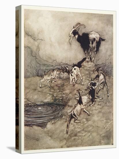 Stretched Canvas Print, , large