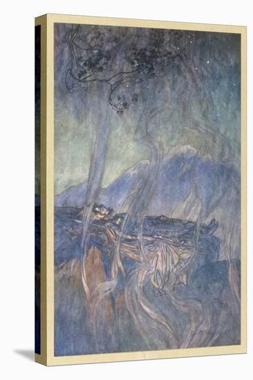 Stretched Canvas Print, , large