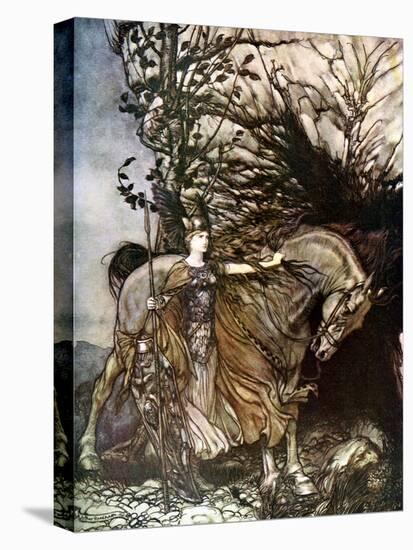 Stretched Canvas Print, , large