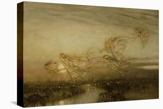 Stretched Canvas Print, , large