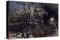 Stretched Canvas Print
