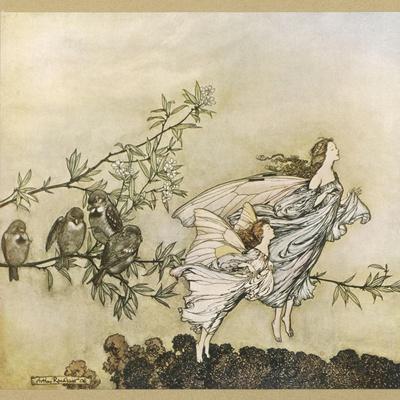 Arthur Rackham Fairies Wall Art: Prints, Paintings & Posters | Art.com