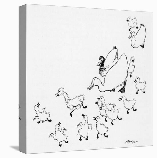 Stretched Canvas Print, , large