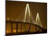 Arthur Revenel Bridge at Night, Charleston, South Carolina, USA-Jim Zuckerman-Mounted Photographic Print