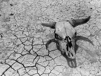 Drought: Dust Storm, 1936-Arthur Rothstein-Photographic Print