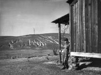 Farm Erosion, 1937-Arthur Rothstein-Framed Photographic Print