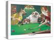 Stretched Canvas Print