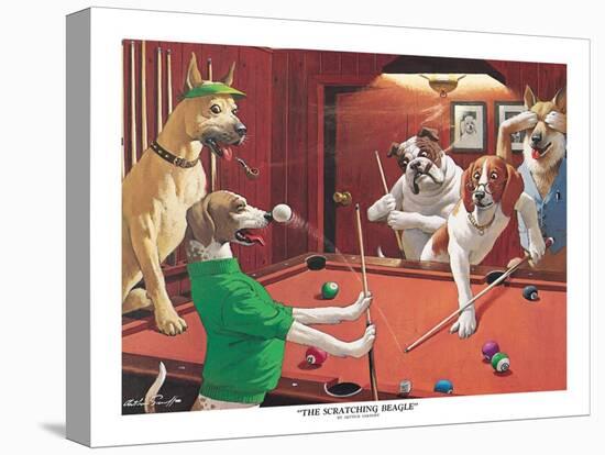 Stretched Canvas Print, , large
