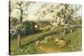 Stretched Canvas Print