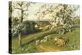 Stretched Canvas Print