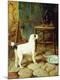 Premium Giclee Print