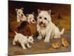 Premium Giclee Print