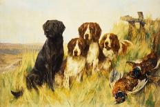 Two Gordon Setters (Oil on Canvas)-Arthur Wardle-Framed Premier Image Canvas