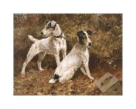 Ready For Anything-Arthur Wardle-Framed Premium Giclee Print