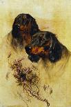 Two Gordon Setters (Oil on Canvas)-Arthur Wardle-Giclee Print
