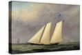 Stretched Canvas Print