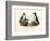 Artic Puffin, 1864-null-Framed Giclee Print