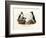 Artic Puffin, 1864-null-Framed Giclee Print