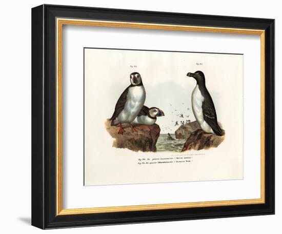 Artic Puffin, 1864-null-Framed Giclee Print