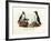 Artic Puffin, 1864-null-Framed Giclee Print