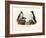 Artic Puffin, 1864-null-Framed Giclee Print