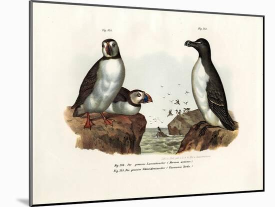 Artic Puffin, 1864-null-Mounted Giclee Print