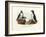 Artic Puffin, 1864-null-Framed Giclee Print