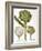 Artichoke, 1613-Besler Basilius-Framed Giclee Print