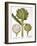 Artichoke, 1613-Besler Basilius-Framed Giclee Print