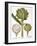 Artichoke, 1613-Besler Basilius-Framed Giclee Print