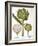 Artichoke, 1613-Besler Basilius-Framed Giclee Print